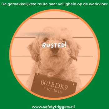 Blog Safety Triggers busted