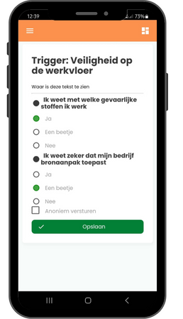 Safety Triggers voorbeeld