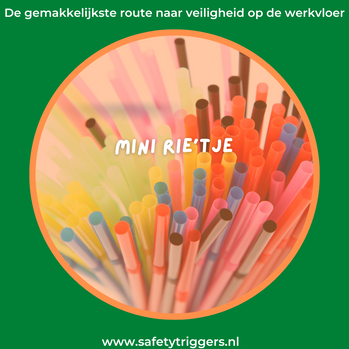 Blog Safety Triggers mini rietje